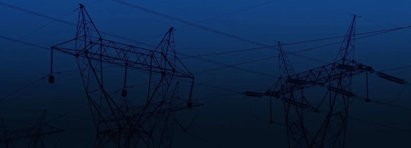 The Japanese electricity sector in crisis: How data can help making sense of the current situation